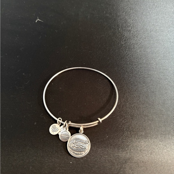 Alex & Ani Silver UFL Gator Charm Bangle Bracelet - Picture 2 of 2